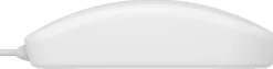 Active Key QuickClean Medical Mouse IP68 Scroll W White