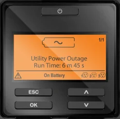 APC Smart-UPS SRT 2200VA - UPS - AC 230 V - 1980 watt - 2200 VA