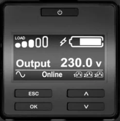 APC Smart-UPS SRT 2200VA - UPS - AC 230 V - 1980 watt - 2200 VA