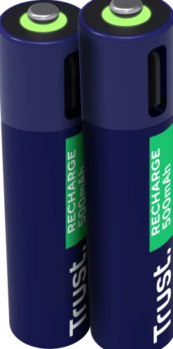 Batteri Laddbar TRUST AAA USB-C 2/fp