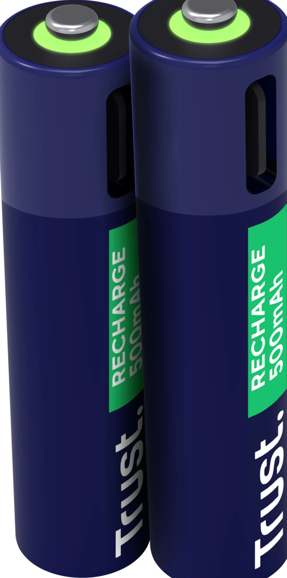 Batteri Laddbar TRUST AAA USB-C 2/fp