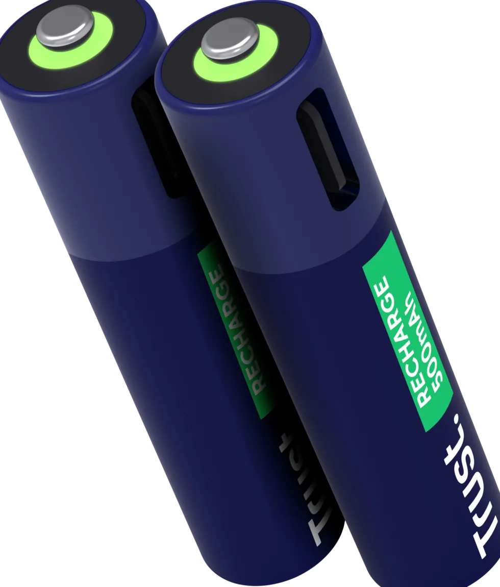 Batteri Laddbar TRUST AAA USB-C 2/fp
