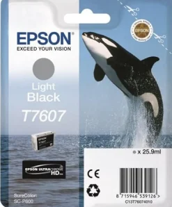 Bläckpatron EPSON C13T76074010 Light Sva