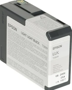 Bläckpatron EPSON C13T580900 lj.lj.sva