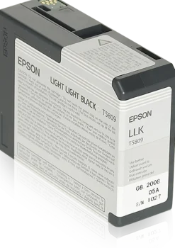 Bläckpatron EPSON C13T580900 lj.lj.sva