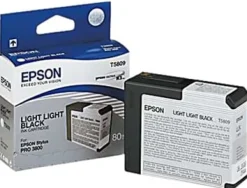 Bläckpatron EPSON C13T580900 lj.lj.sva