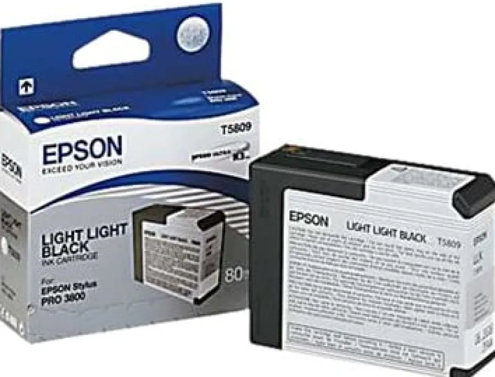 Bläckpatron EPSON C13T580900 lj.lj.sva