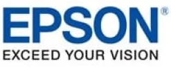 Bläckpatron EPSON C13T580900 lj.lj.sva