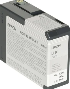 Bläckpatron EPSON C13T580900 lj.lj.sva