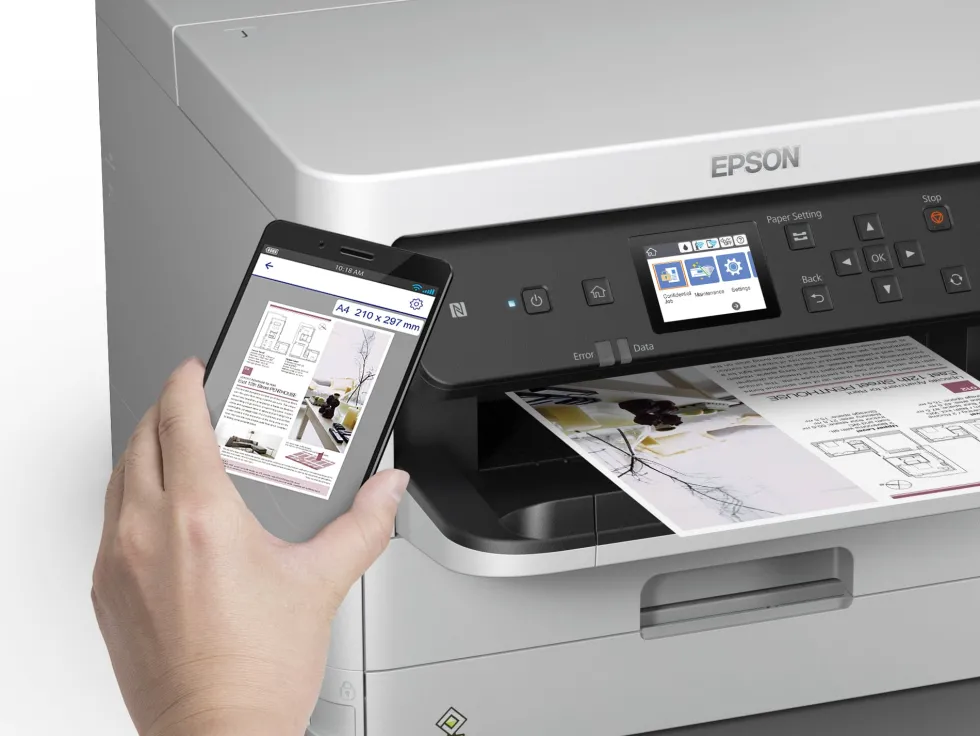 Bläckpatron EPSON T01D1 XXL Svart
