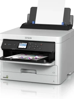 Bläckpatron EPSON T01D1 XXL Svart