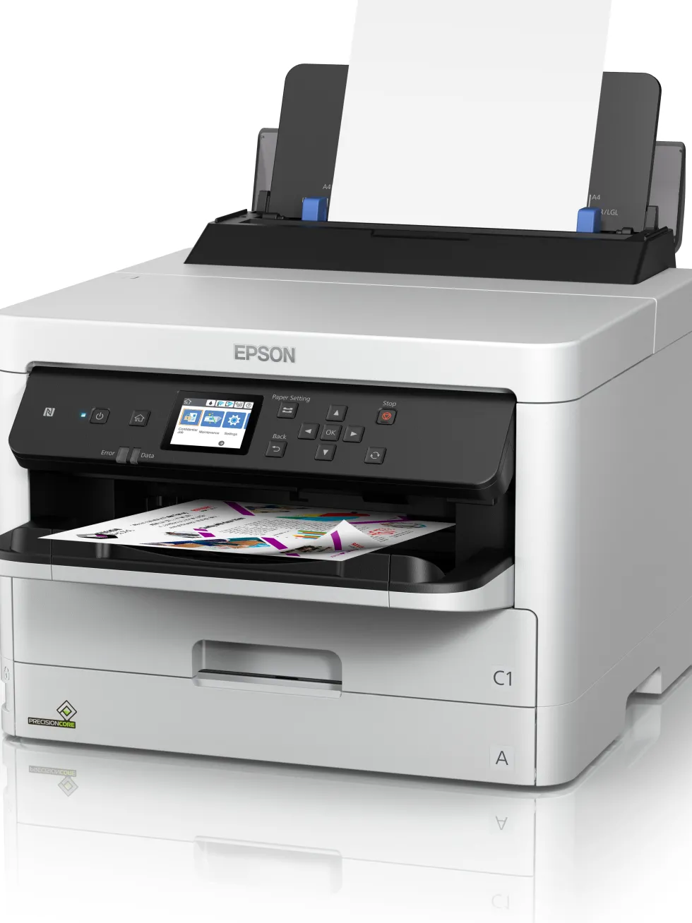 Bläckpatron EPSON T01D1 XXL Svart