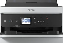 Bläckpatron EPSON T01D1 XXL Svart