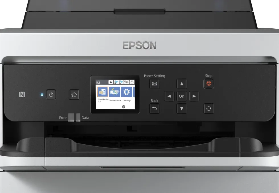 Bläckpatron EPSON T01D1 XXL Svart