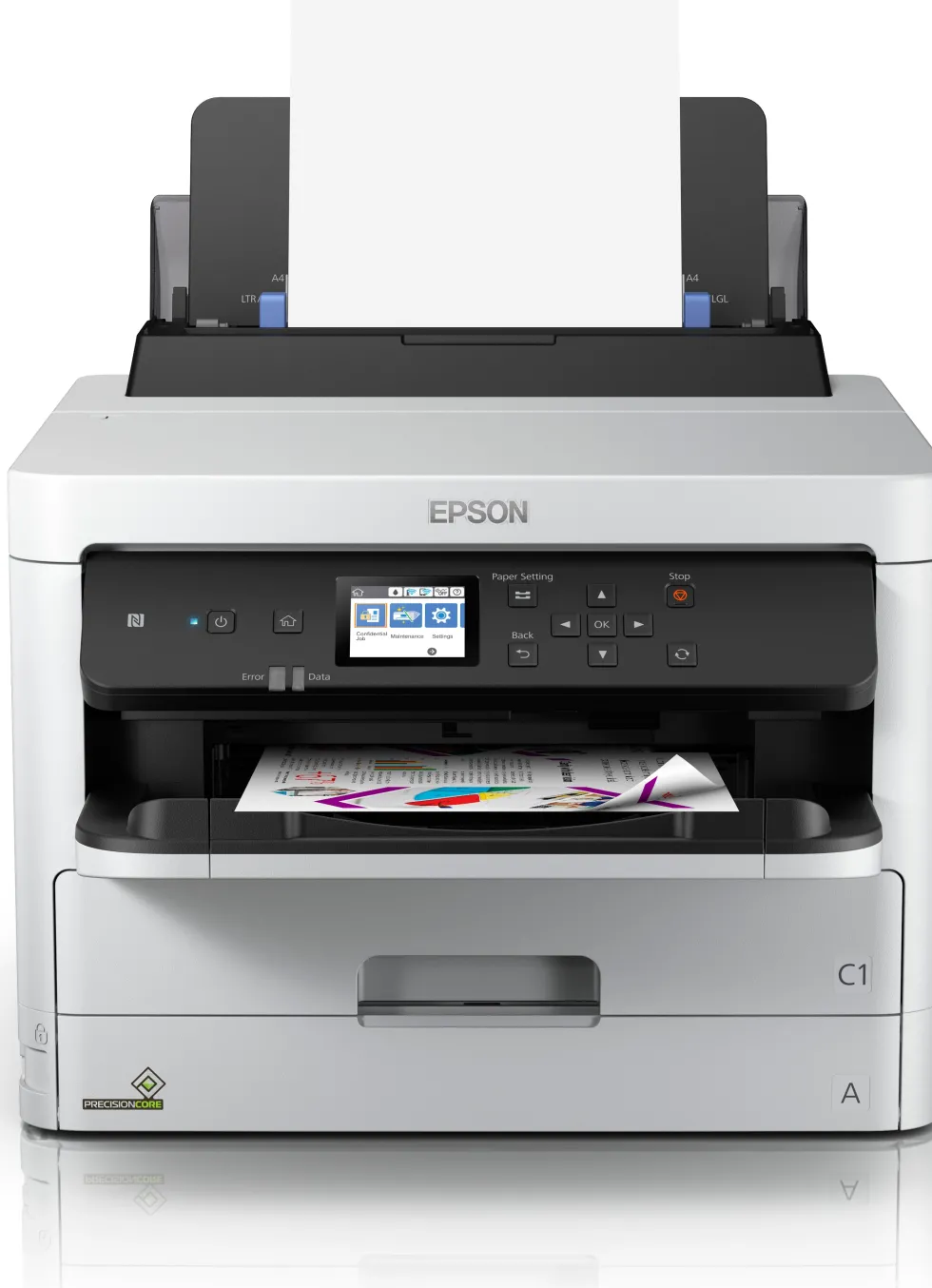 Bläckpatron EPSON T01D1 XXL Svart