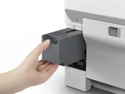 Bläckpatron EPSON T01D1 XXL Svart
