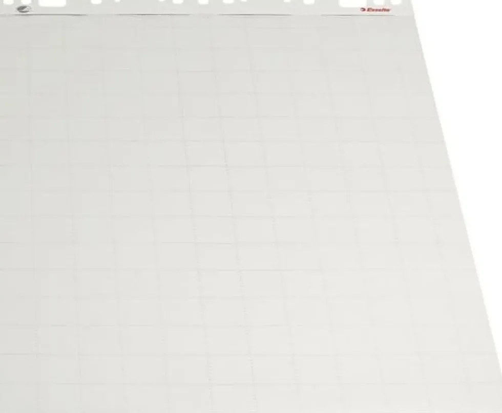 Blädderblock ESSELTE Olinjerat/linjerat/rutat, 55x75cm, 5/fp