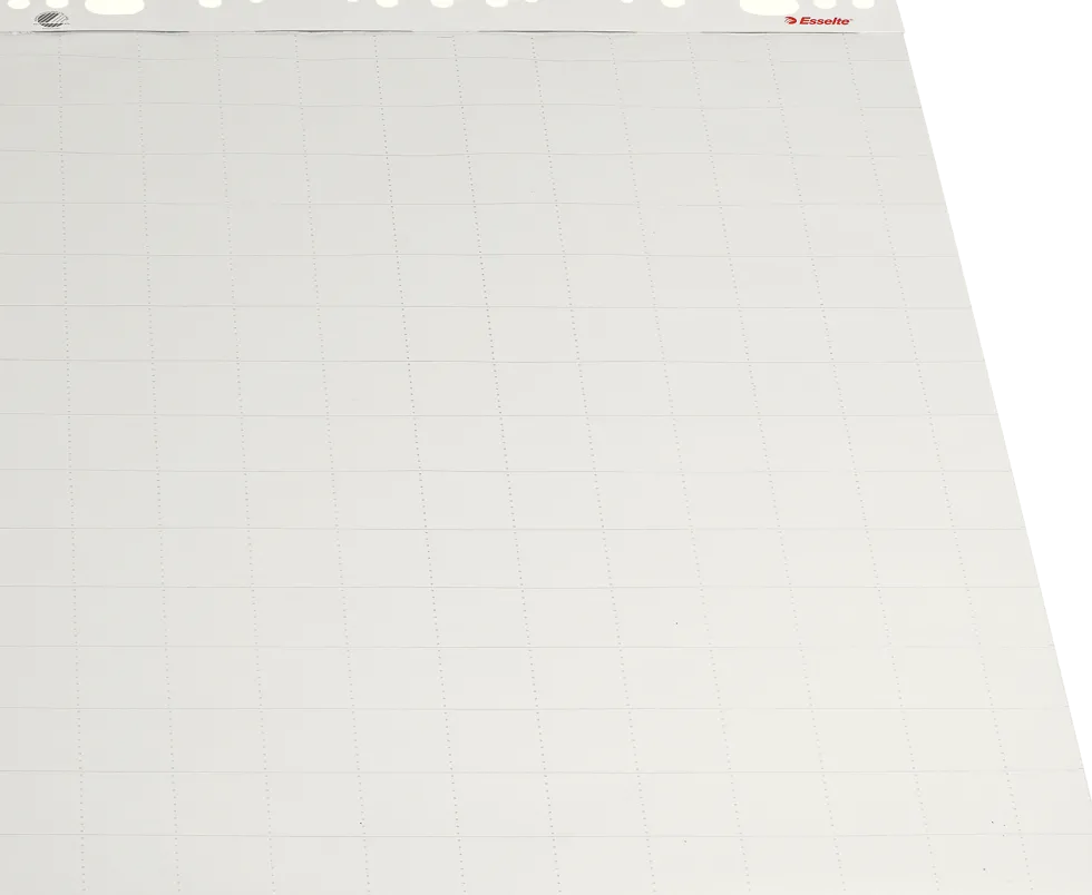 Blädderblock ESSELTE Olinjerat/linjerat/rutat, 55x75cm, 5/fp