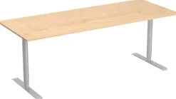 Bord El 160x80cm björklaminat/grå