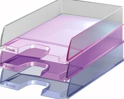 Brevkorg ESSELTE Vivida Europost A4 Transparent