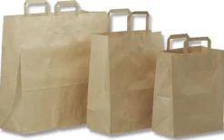 Bärkasse papper 16L brun 200/fp