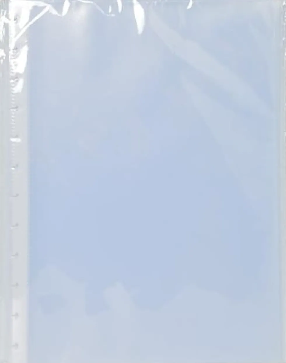 Demobok fickor EXACOMPTA A4 10/fp