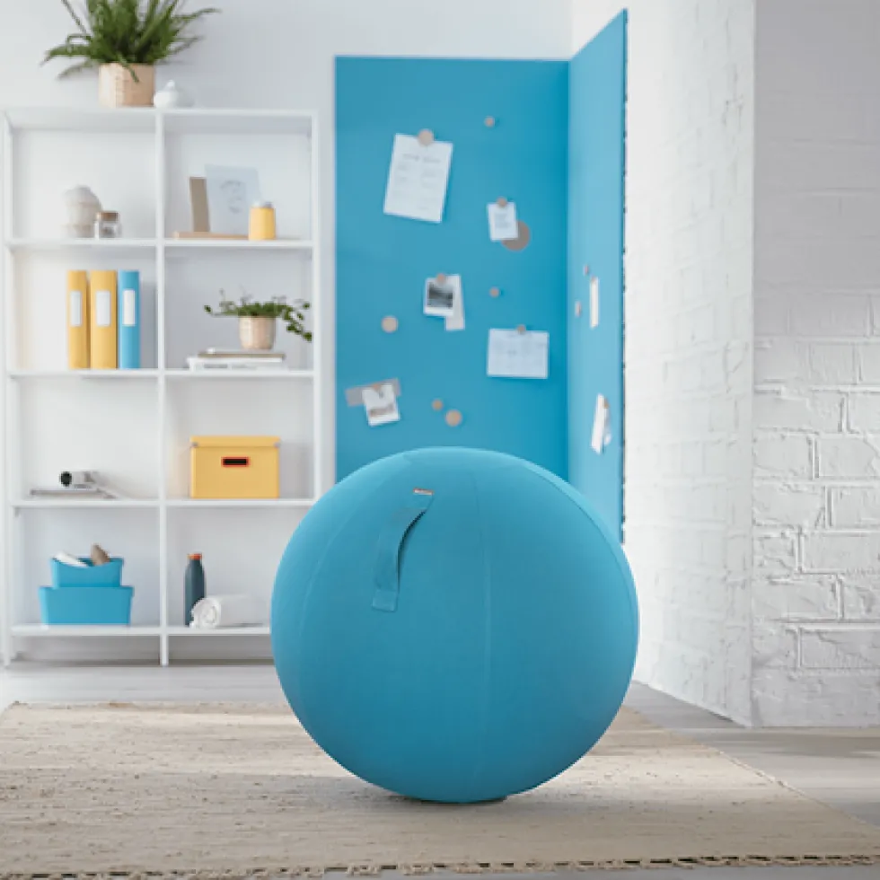 Ergo Sittboll Leitz Cosy blå