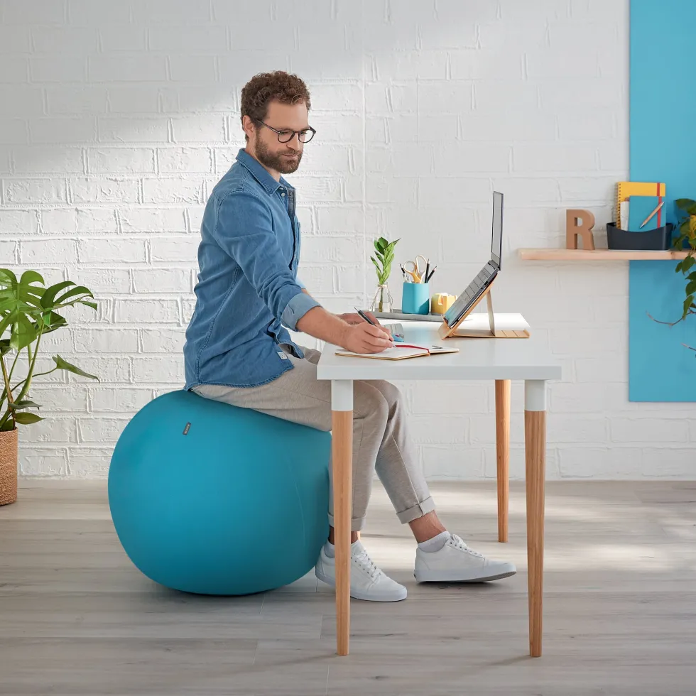 Ergo Sittboll Leitz Cosy blå