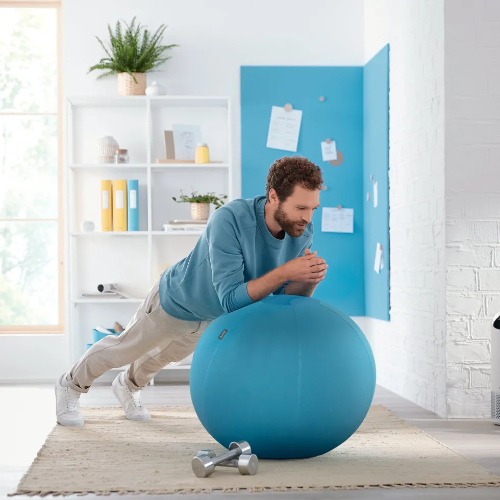 Ergo Sittboll Leitz Cosy blå