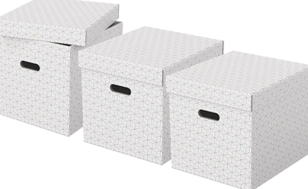Förvaringsbox Esselte Home kub vit (3)