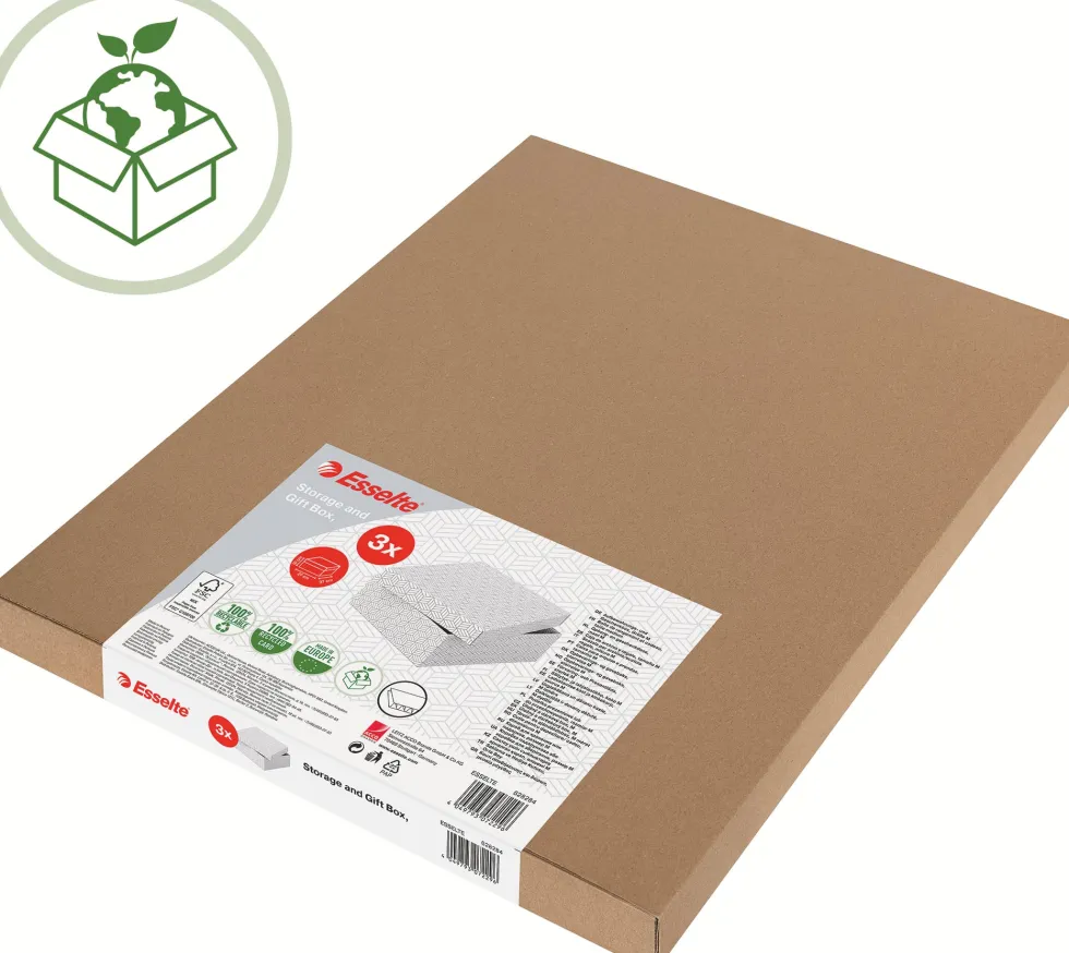 Förvaringsbox Esselte Home vit Large (3)