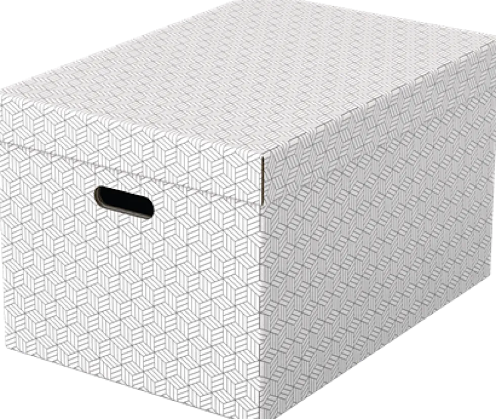 Förvaringsbox Esselte Home vit Large (3)