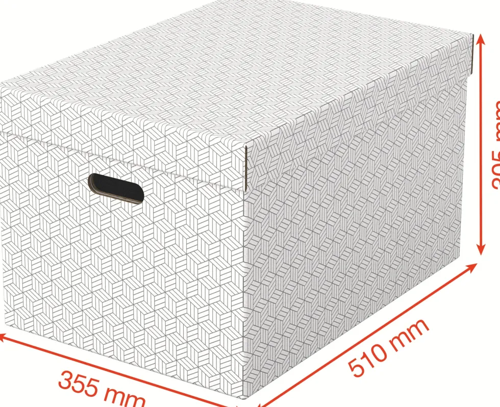Förvaringsbox Esselte Home vit Large (3)