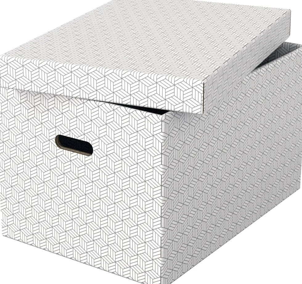 Förvaringsbox Esselte Home vit Large (3)