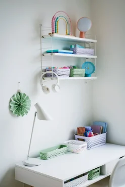 Förvaringsbox Essence S grön