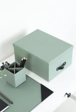 Förvaringsbox m.lock kartong Mint
