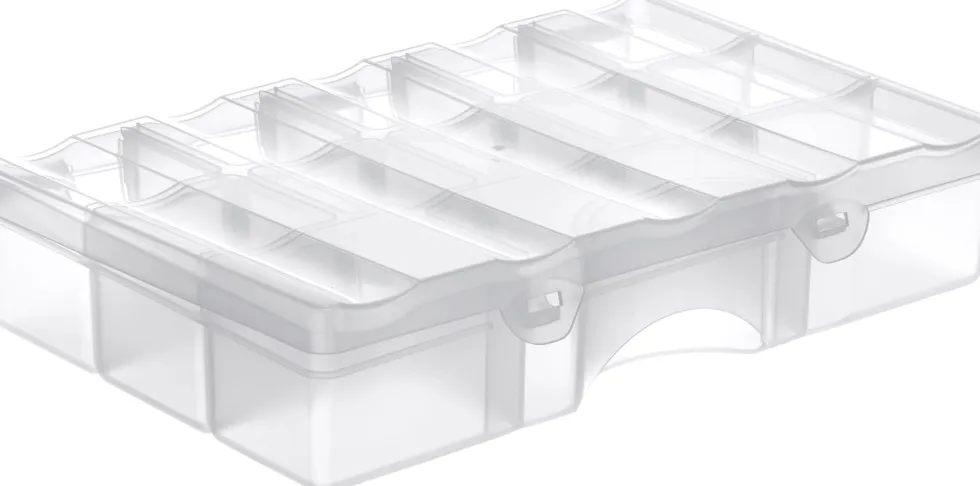 Förvaringsbox organizer M 29x19x6cm