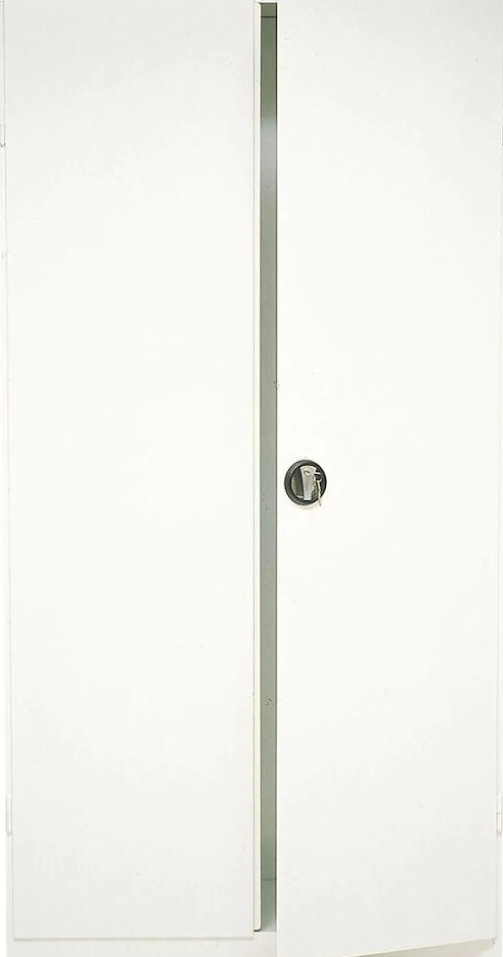 Förvaringsskåp 1970 ESSELTE, 197x100x43cm