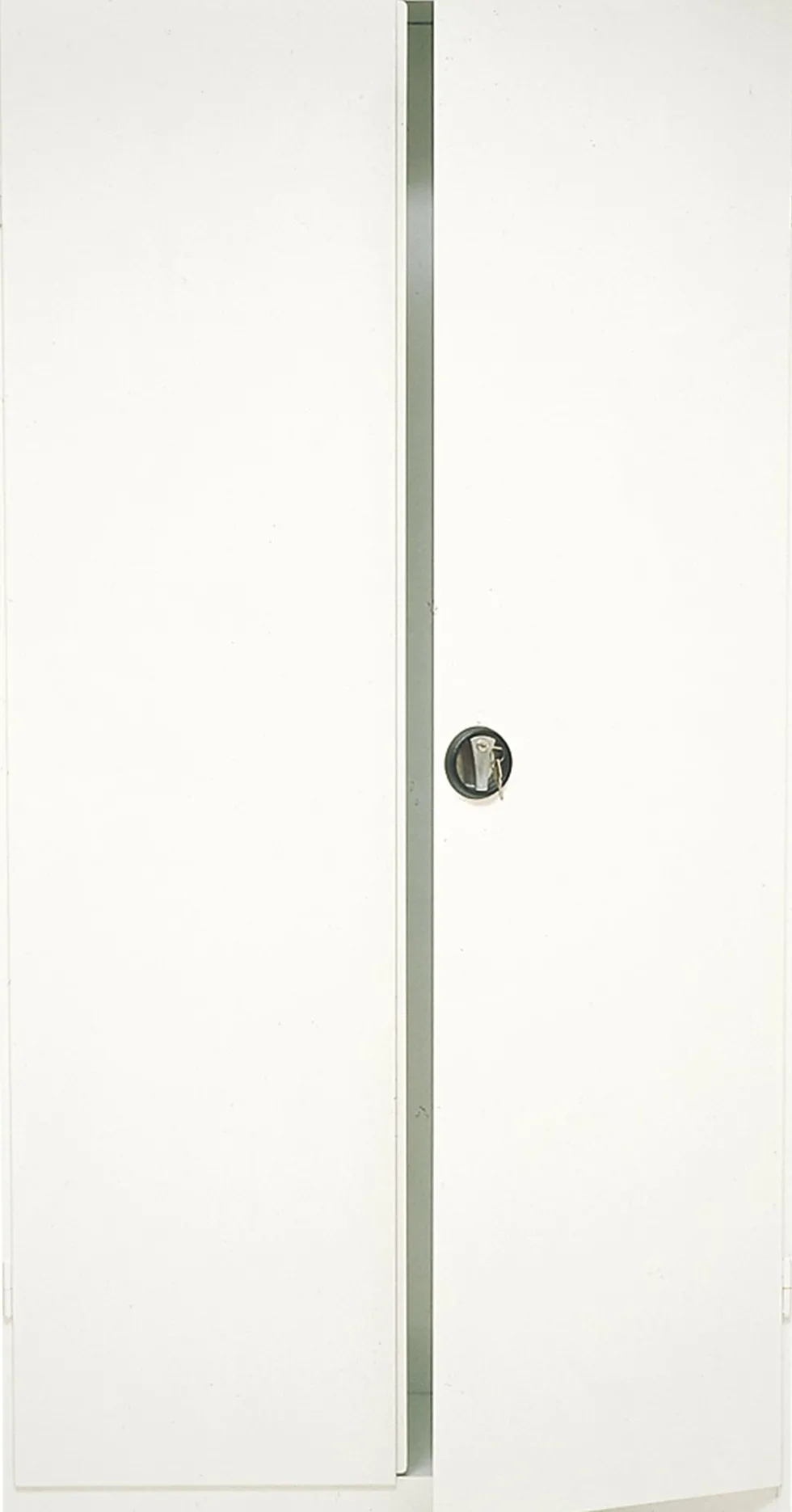 Förvaringsskåp 1970 ESSELTE, 197x100x43cm