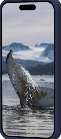 Greenland - iPhone 15 Pro Max - Pacific Blue