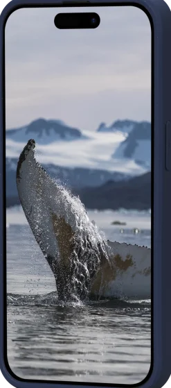 Greenland - iPhone 15 Pro Max - Pacific Blue