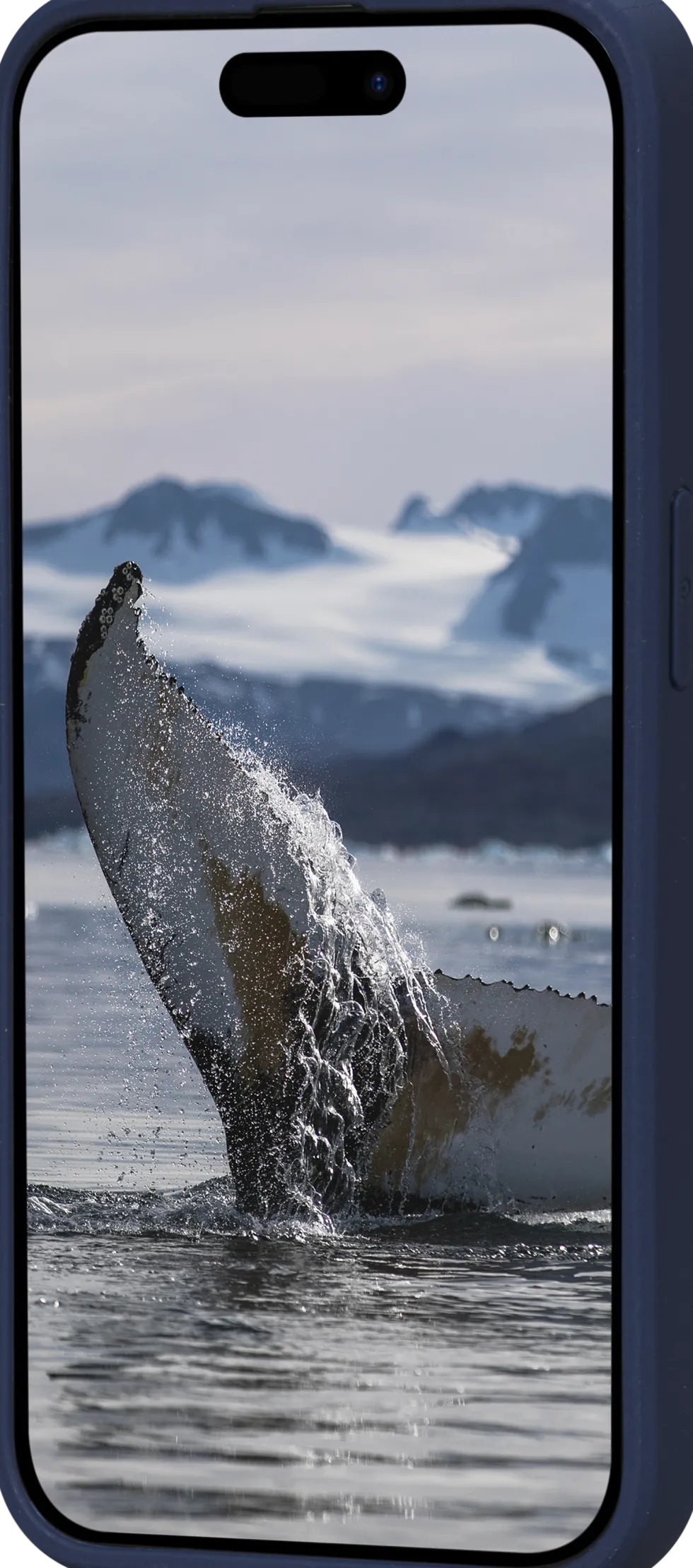 Greenland - iPhone 15 Pro Max - Pacific Blue