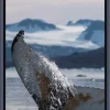 Greenland - iPhone 16 Pro - Pacific Blue