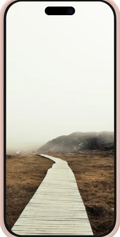 Greenland - iPhone 16 Pro - Pink Sand