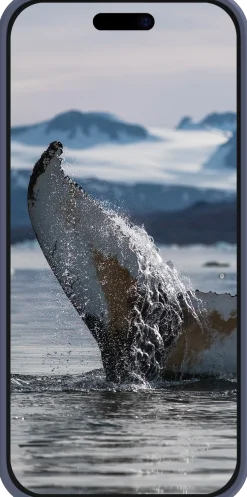 Greenland Pro MS - iPhone 16 Pro - Pacific Blue