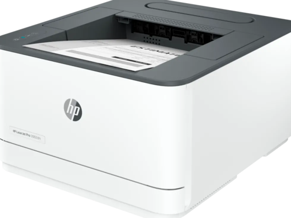 HP LaserJet Pro 3002dn - Skrivare - svartvit - Duplex - laser