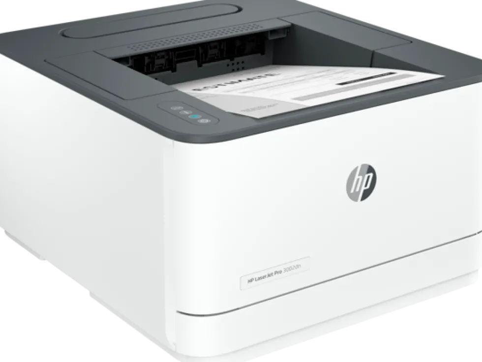 HP LaserJet Pro 3002dn - Skrivare - svartvit - Duplex - laser