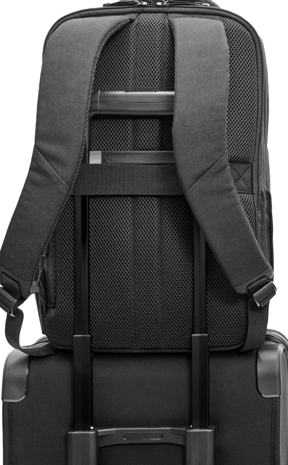 HP Renew Executive - Ryggsäck för bärbar dator - 16.1" - svart