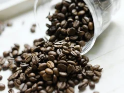 Kaffebönor GEVALIA Professional Continental 1kg
