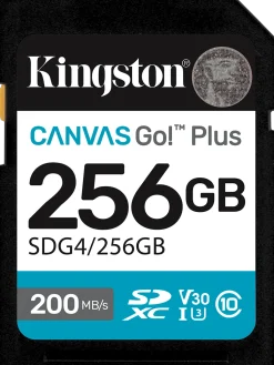 Kingston Canvas Go! Plus - Flash-minneskort - 256 GB - Video